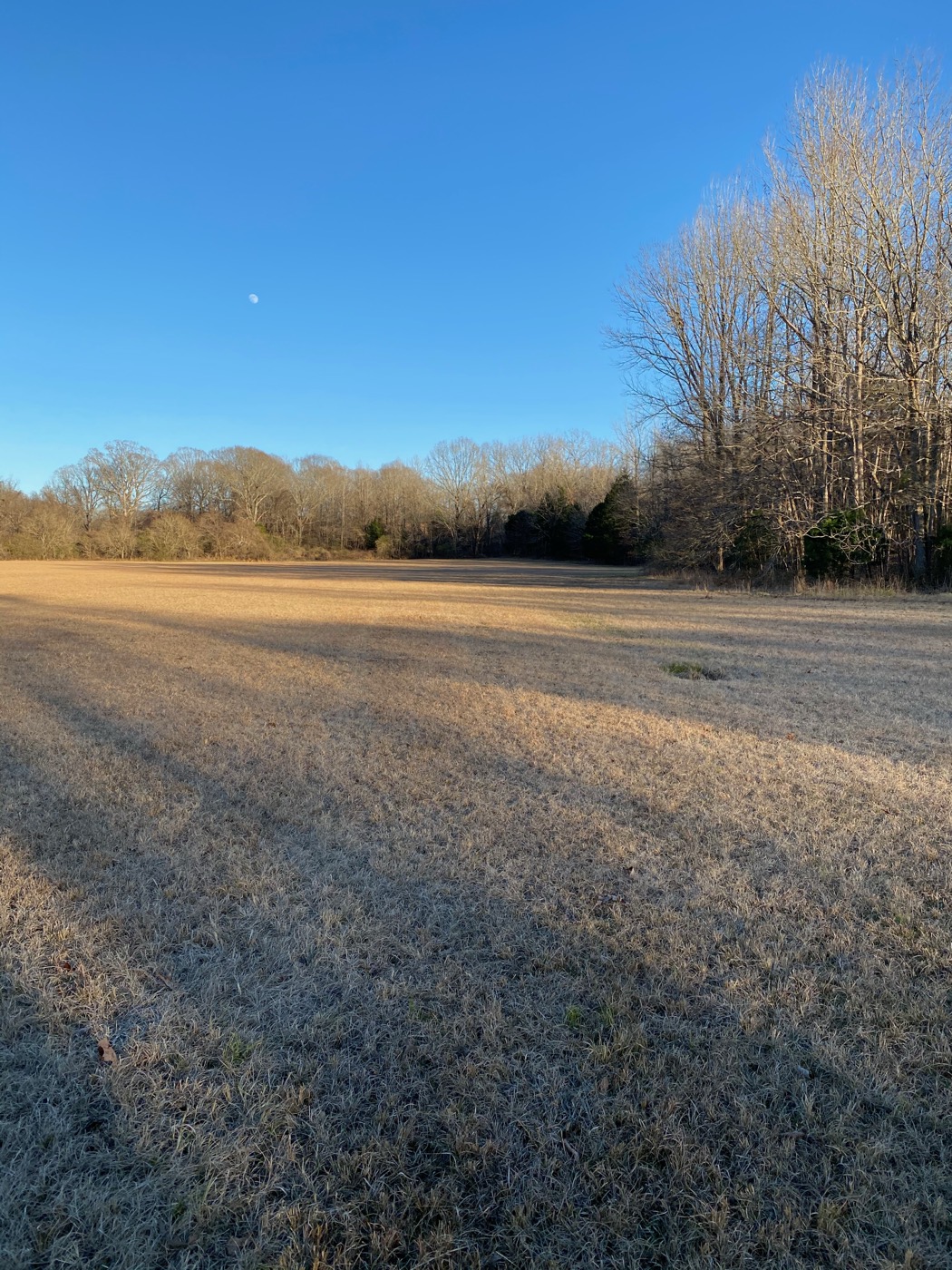 frost on the long field, first light