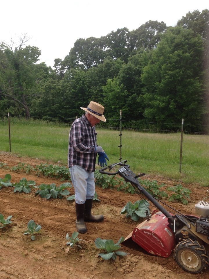 Pappy at the tiller in the garden rows