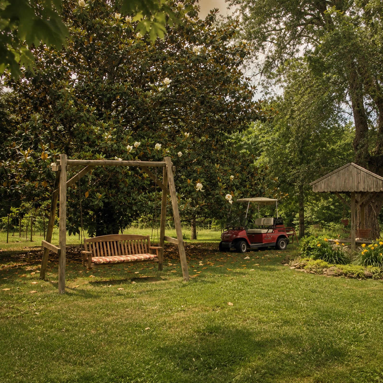 The swing under the magnolia in Mamma's Garden